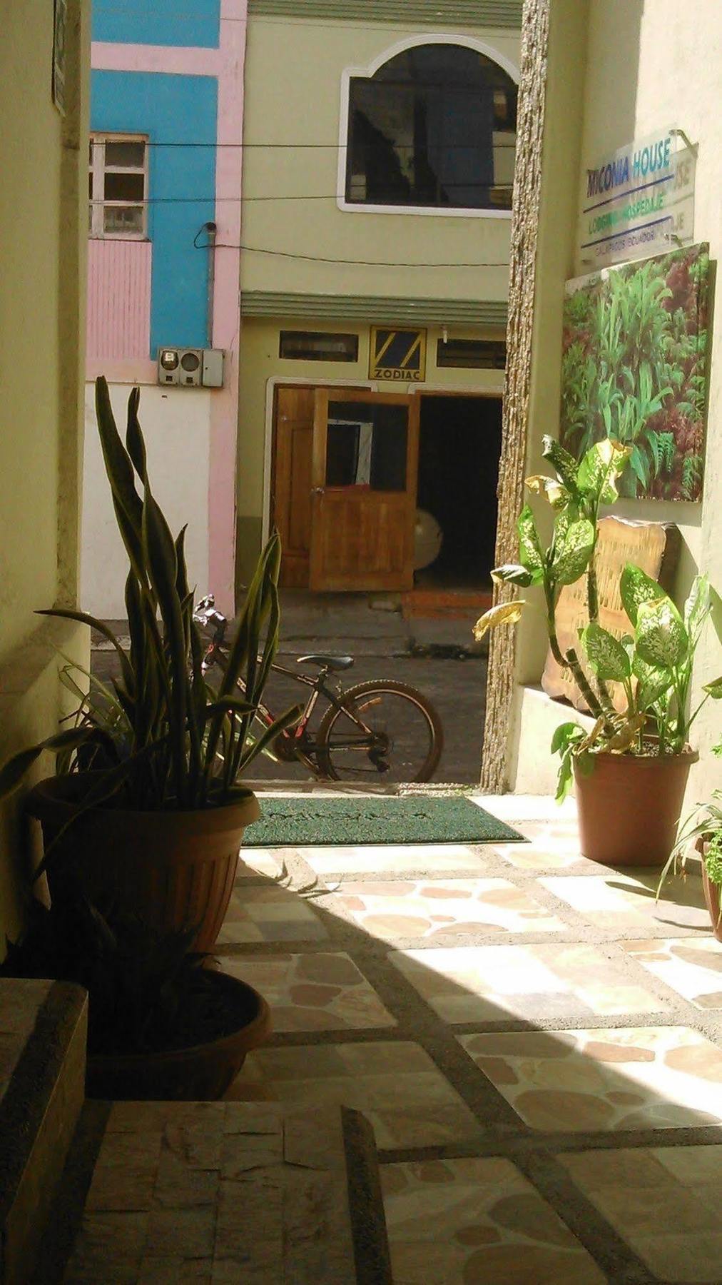 Hostal Miconia Puerto Ayora  Luaran gambar